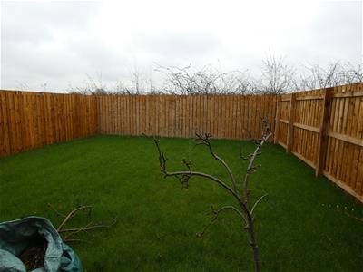 Picture 19